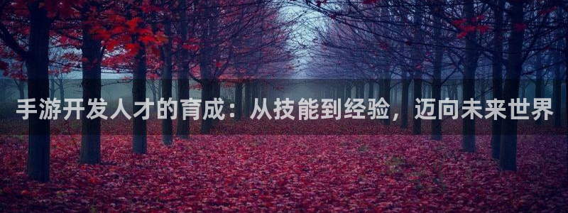 巅峰国际注册：手游开发人才的育成：从技能到经验，迈向未来世界