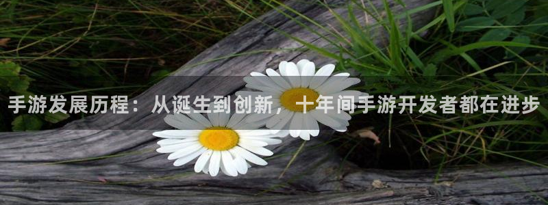 巅峰国际app：手游发展历程：从诞生到创新，十年间手游开发者