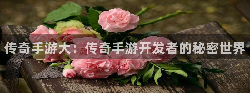 巅峰国际下载：传奇手游大：传奇手游开发者的秘密世界