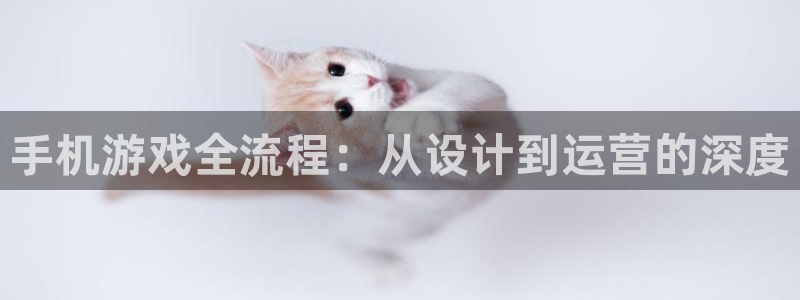 巅峰国际：手机游戏全流程：从设计到运营的深度